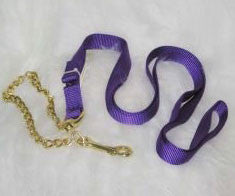 Nylon Lead With Chain & Snap - Purple 7 Ft (17d24 Pu)