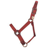 Nylon Halter With Adjustable Chin Strap - Foal - Red (3da Flrd)