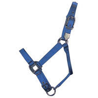 Nylon Halter With Adjustable Chin Strap - Foal - Blue (3da Flbl)