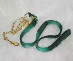 Nylon Lead With Chain & Snap - Green 7 Ft (17d24 Gn)