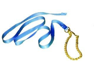 Nylon Lead With Chain & Snap - Blue 7 Ft (17d24 Bl)