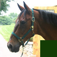 Nylon Adjustable Horse Halter With Chin Strap 1" - Large Hunter Green (1das Lgdg)