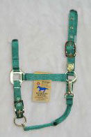 Nylon Adjustable Horse Halter W/ Chin Strap 1" Green - Average (1das Avgn)