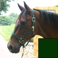 Nylon Adjustable Horse Halter W/ Chin Strap 1" Hunter Green - Average (1das Avdg)