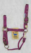 Nylon Adjustable Horse Halter W/ Chin Strap 1" Wine - Average (1das Avwn)