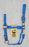 Nylon Adjustable Halter W/ Snap - Blue Small (1das Smbl)