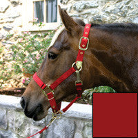 Nylon Halter With Adjustable Chin Strap - Yearling - Red (1das Yrrd)