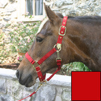 Nylon Halter With Adjustable Chin Strap - Pony - Red (3das Pord)