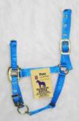 Nylon Halter With Adjustable Chin Strap - Pony - Blue (3das Pobl)