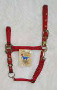 Nylon Lead With 24 Chains & Snap - Red 7 Feet (8das Avrd)