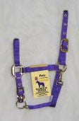 Adjustable Chin Halter W/ Snap - Purple Pony (3das Popu)