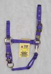 Nylon Adjustable Chin Halter W/ Snap - Purple Large (1das Lgpu)