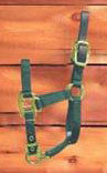 Adjustable Foal Halter W/ Leather Headpole - Dark Green (3dla Fldg)