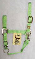 5/8" Adjustable Chin Halter W/ Snap - Lime Small (1das Smli)