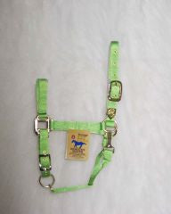 Nylon Adjustable Horse Chin Halter W/ Snap - Lime Average 1" (1das Avli)