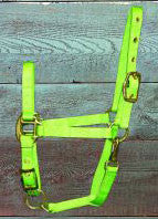 Nylon Adjustable Pony Chin Halter W/ Snap - Lime (3das Poli)