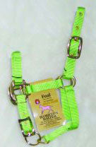 3/4 Nylon Adjustable Chin Halter - Lime Foal (3da Flli)