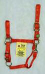 11-16 Adjustable Chin Halter W/ Snap - Mango Large 1" (1das Lgma)