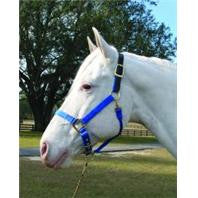 5-8 Adjustable Leather Headpole Horse Halter - Blue Small (1dalss Smbl)