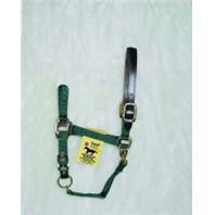 5-8 Adjustable Leather Headpole Horse Halter - Dark Green Small (1dalss Smdg)