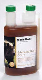 Hilton Herbs Echinacea Plus Gold - 2 Pint (71100)