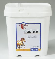 dmg for horses