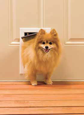 Petsafe Ppa00-10859 Freedom Pet Door (small)