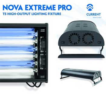 Current Usa Nova Extreme Pro T5 Aquarium Lighting Fixture, 6x39 Watt, 36 Inch