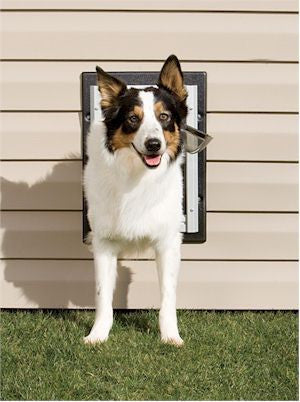 Petsafe Ppa11-10916 Wall Entry Aluminum Pet Door (medium)