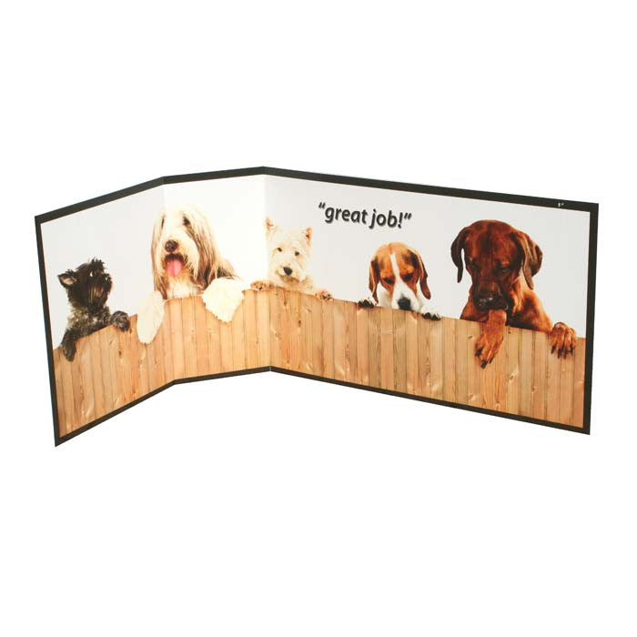 Piddle Place Pp-01711 Protective Piddle Guard Great Job Design