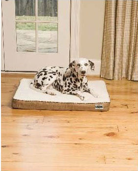 Petsafe Pwb00-10901 Heated Wellness Bed (medium) (pwb00-10901)