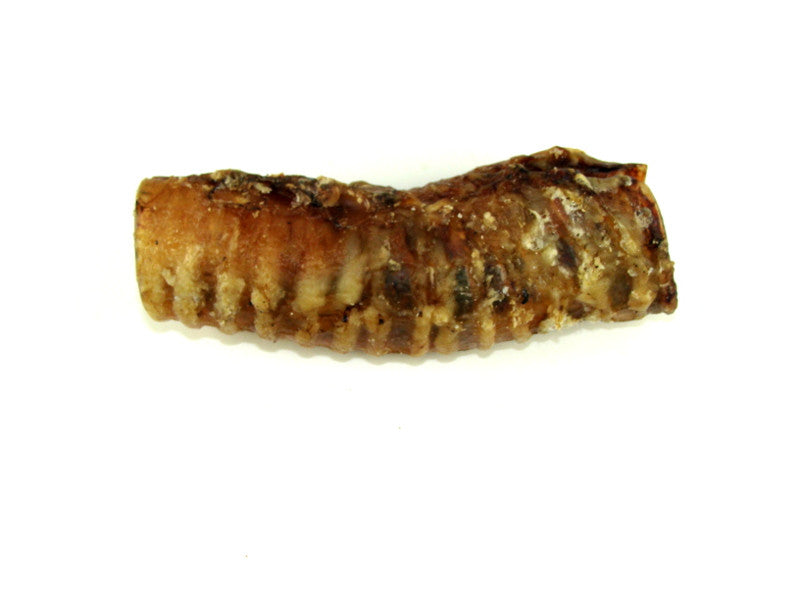 10 Pack Beef Trachea 6"