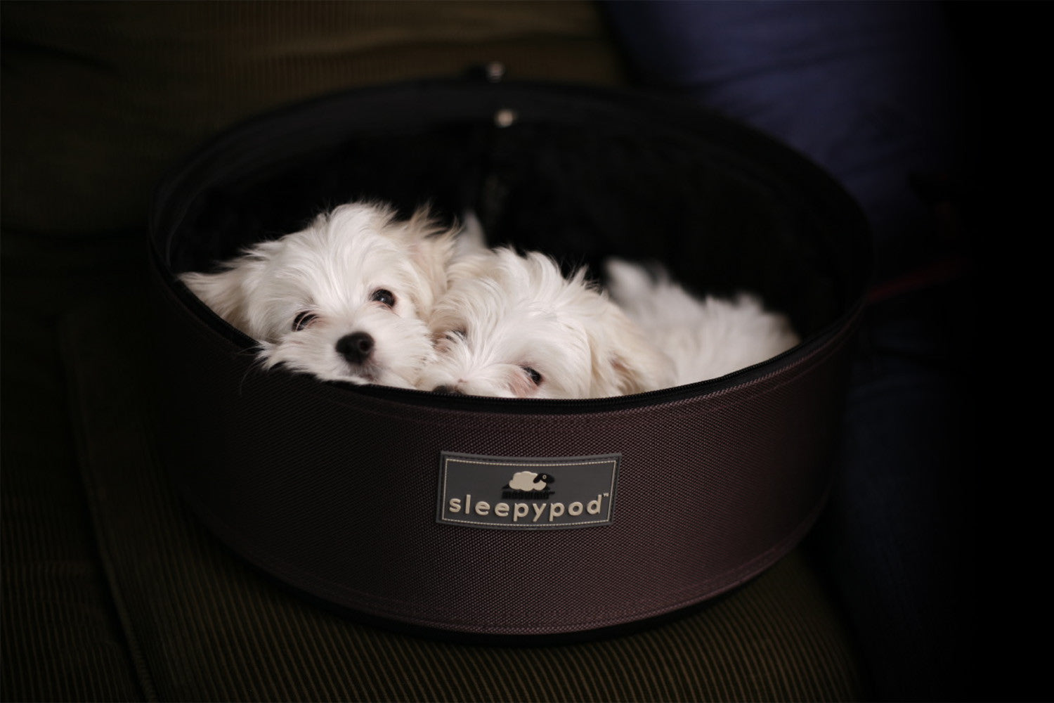 Sleepypod Sp-cho Mobile Pet Bed (dark Chocolate) Medium
