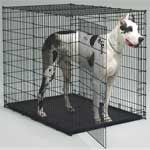 1154u Big Dog - Dog Crate Big Dog Crate 54in L X 35in W X 45in H