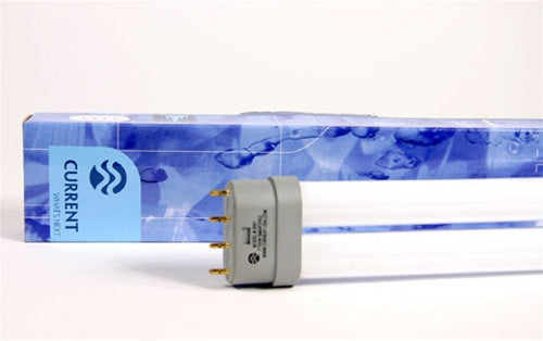Current Usa 65w Straight Pin Smartpaq Compact Fluorescent Lamp (2081)