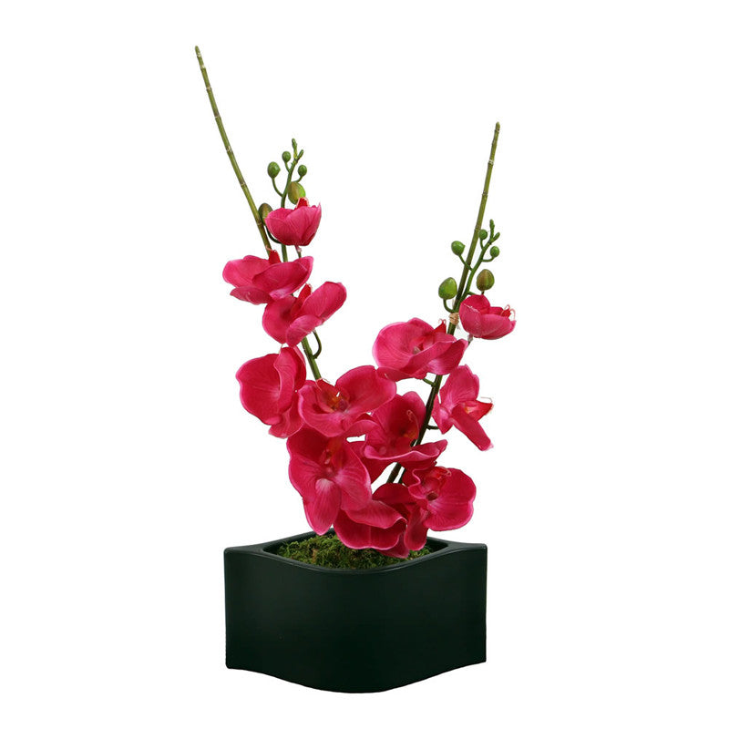 Vickerman F12143 Pink Orchid In Black Wave Container