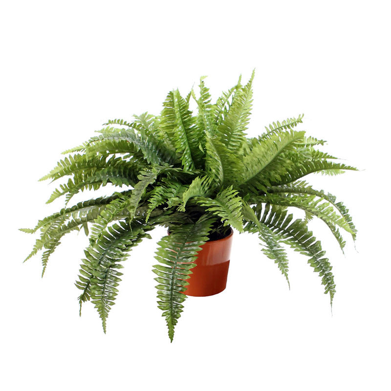 Vickerman F12170 Boston Fern In Orange Ceramic Pot