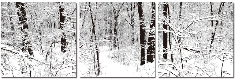 Wholesale Interiors B-4003abc Winter Woods Mounted Photography Print Triptych - Each