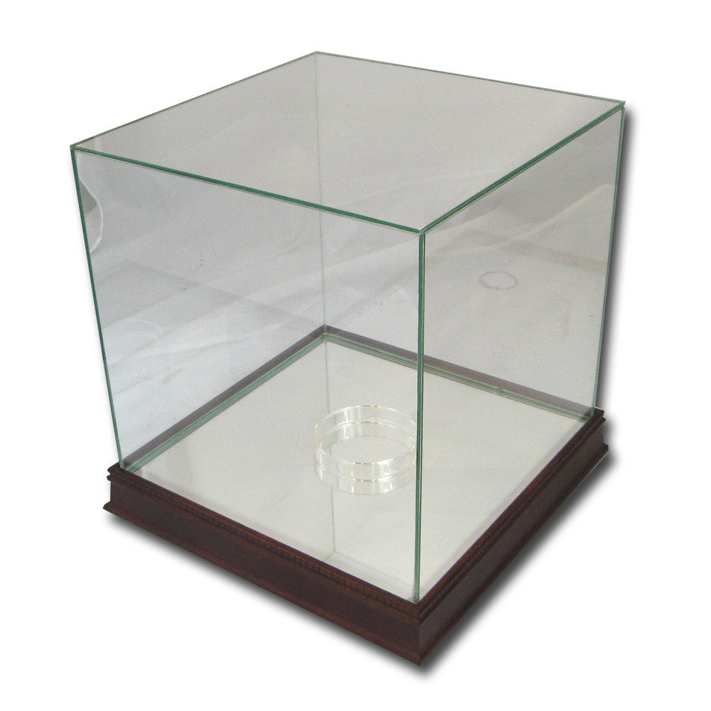 Steiner Glass Basketballl Display Case