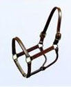 Halter Thoroughbred 1" (191)