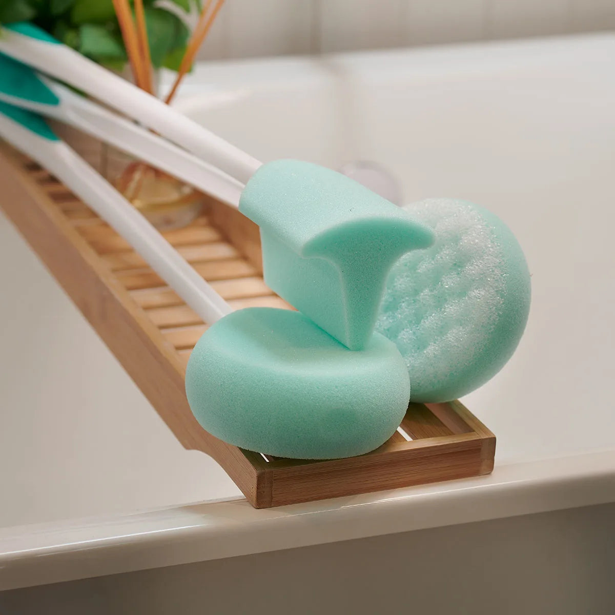 Complete Sponge Bundle