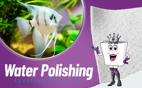 polishing filter pads