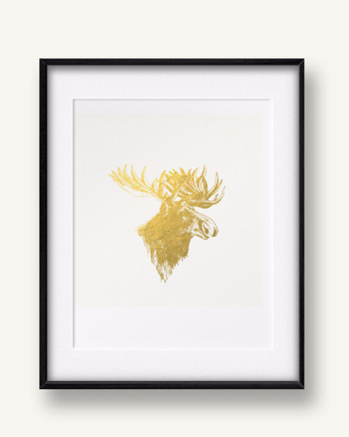 Moose