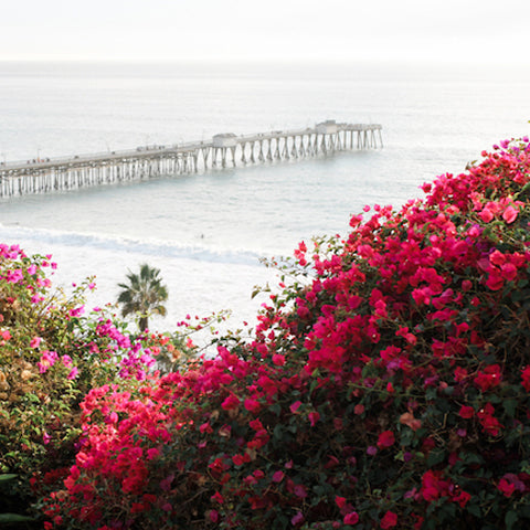 Romantic Bougainvillea | Magenta Linens for Rent in Orange County CA – On  Call Event Rentals