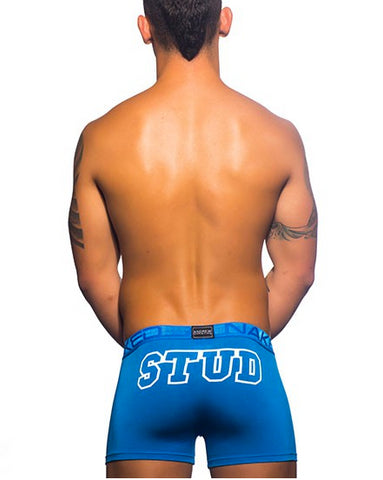 STUD Boxer Semental AC