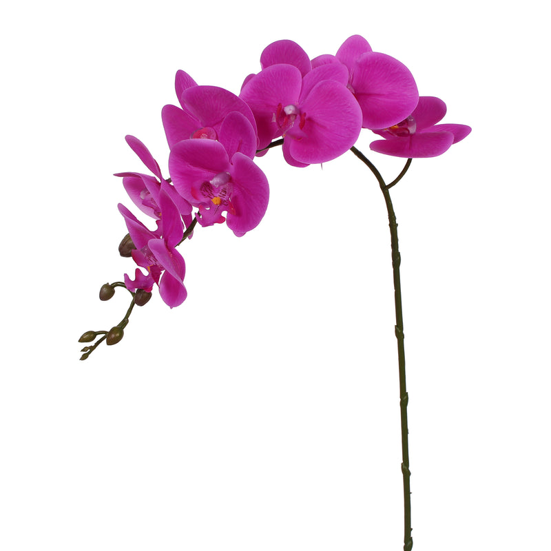 36” Real Touch Signal Stem Phalaenopsis Orchid Spray with 9 Flowers in ...