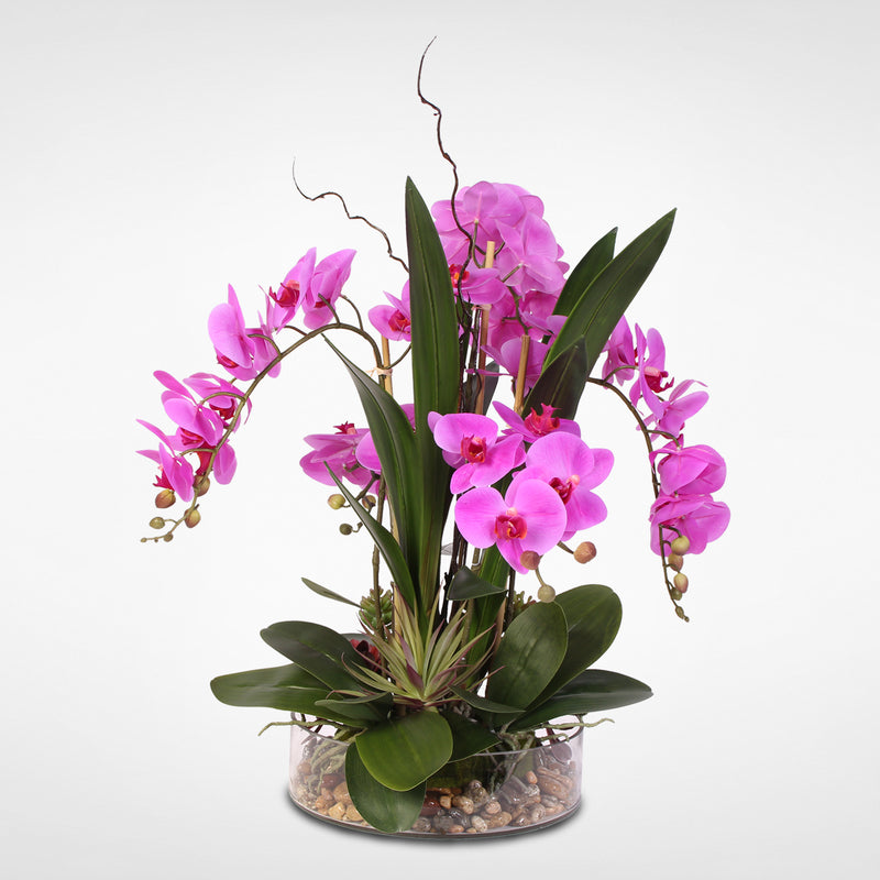Real Touch Silk Orchids with Succulents and Natural Rocks in Clear Gla ...
