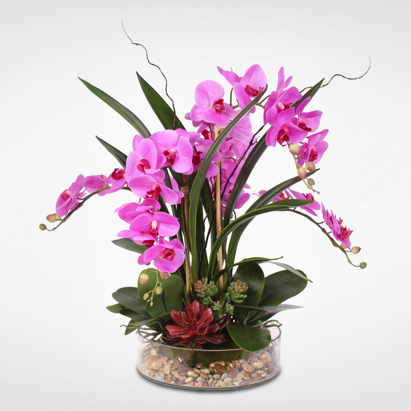 Real Touch Silk Orchids with Succulents and Natural Rocks in Clear Gla ...