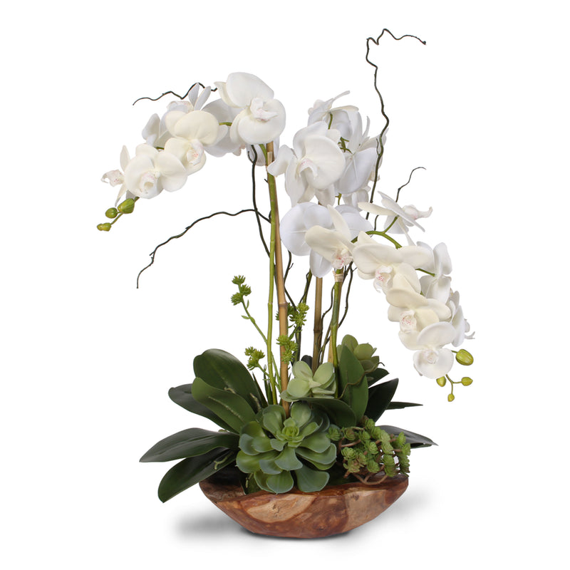 Real Touch Phalaenopsis Silk Orchid with Curly Willow in Natural Teak ...