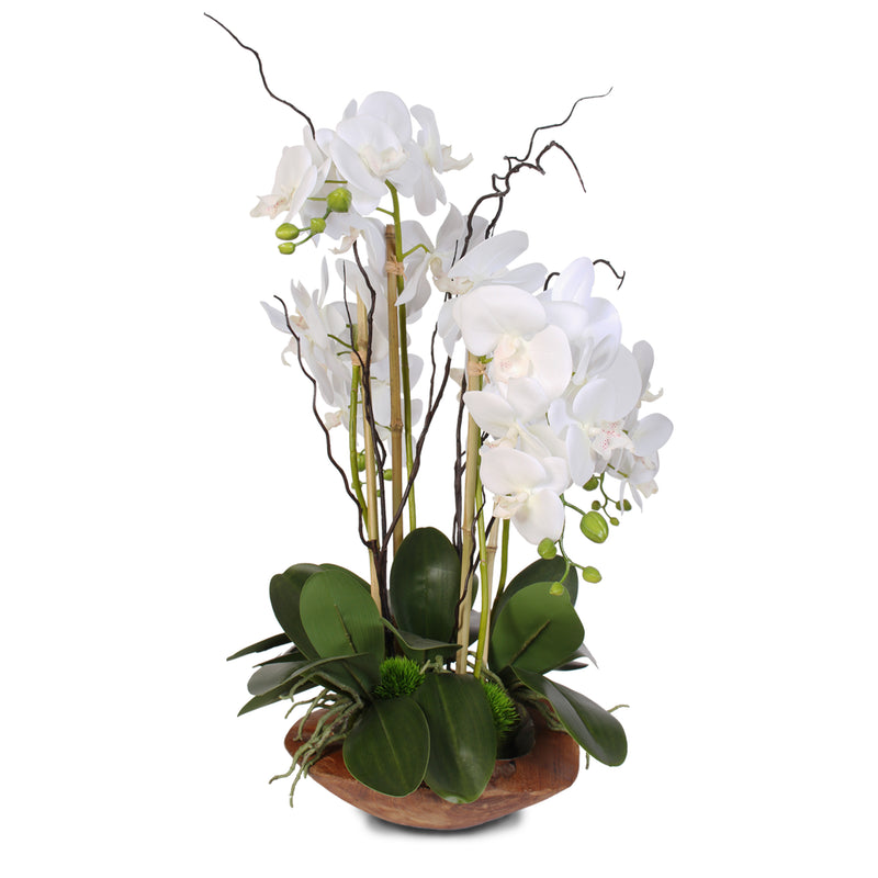 Real Touch Phalaenopsis Silk Orchid with Curly Willow in Natural Teak ...